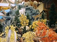 photos 2000-200901332